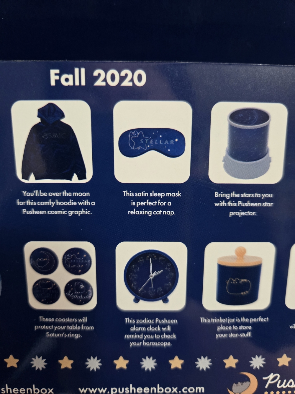Pusheen Fall 2020 Subscription Box - Picture 4 of 5